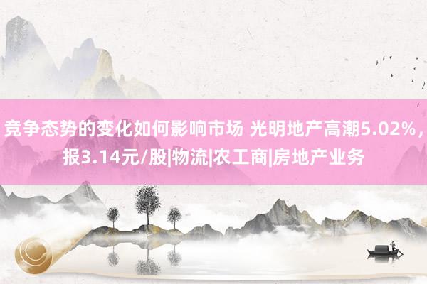 竞争态势的变化如何影响市场 光明地产高潮5.02%，报3.14元/股|物流|农工商|房地产业务