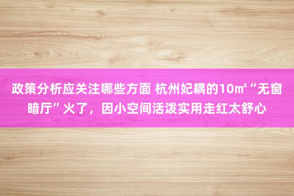 政策分析应关注哪些方面 杭州妃耦的10㎡“无窗暗厅”火了，因小空间活泼实用走红太舒心