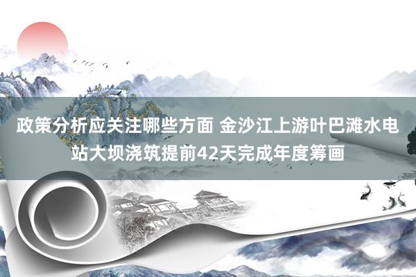 政策分析应关注哪些方面 金沙江上游叶巴滩水电站大坝浇筑提前42天完成年度筹画