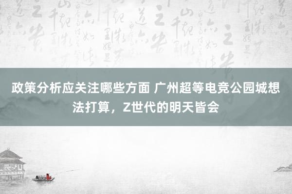 政策分析应关注哪些方面 广州超等电竞公园城想法打算，Z世代的明天皆会