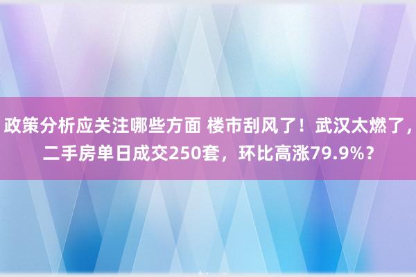 政策分析应关注哪些方面 楼市刮风了！武汉太燃了，二手房单日成交250套，环比高涨79.9%？