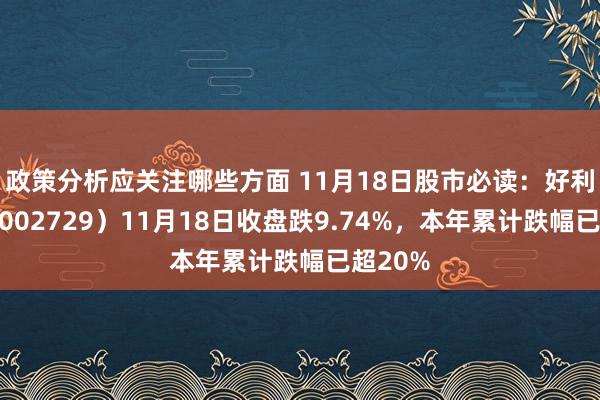 政策分析应关注哪些方面 11月18日股市必读：好利科技（002729）11月18日收盘跌9.74%，本年累计跌幅已超20%