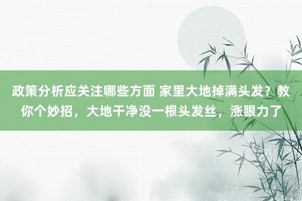 政策分析应关注哪些方面 家里大地掉满头发？教你个妙招，大地干净没一根头发丝，涨眼力了