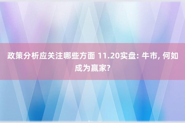 政策分析应关注哪些方面 11.20实盘: 牛市, 何如成为赢家?