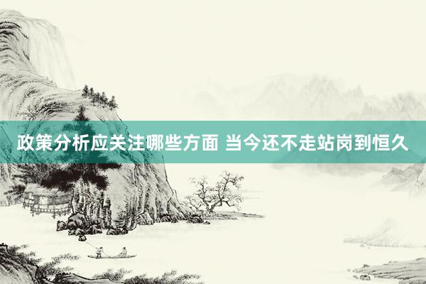 政策分析应关注哪些方面 当今还不走站岗到恒久