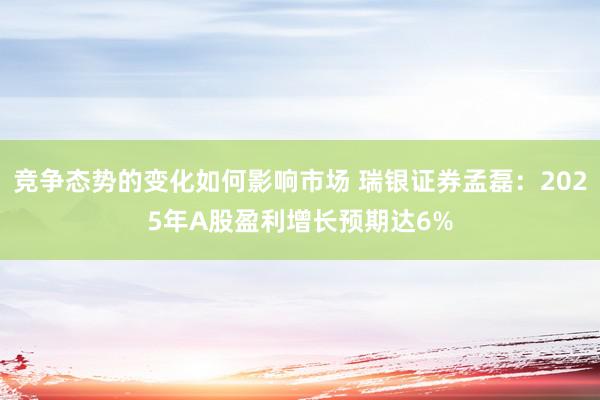 竞争态势的变化如何影响市场 瑞银证券孟磊：2025年A股盈利增长预期达6%