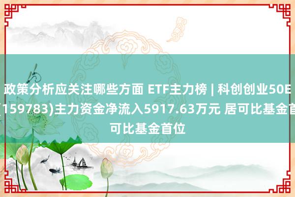 政策分析应关注哪些方面 ETF主力榜 | 科创创业50ETF(159783)主力资金净流入5917.63万元 居可比基金首位