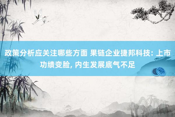 政策分析应关注哪些方面 果链企业捷邦科技: 上市功绩变脸, 内生发展底气不足