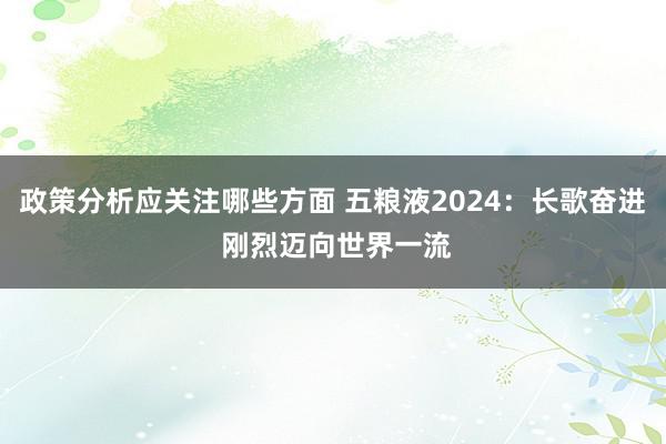 政策分析应关注哪些方面 五粮液2024：长歌奋进 刚烈迈向世界一流