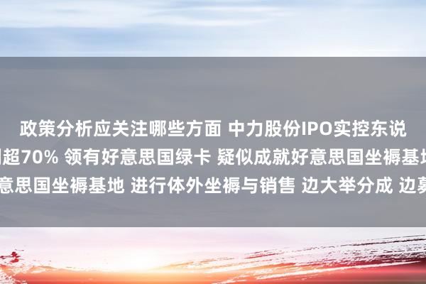 政策分析应关注哪些方面 中力股份IPO实控东说念主何金辉合手股比例超70% 领有好意思国绿卡 疑似成就好意思国坐褥基地 进行体外坐褥与销售 边大举分成 边募资偿债补流