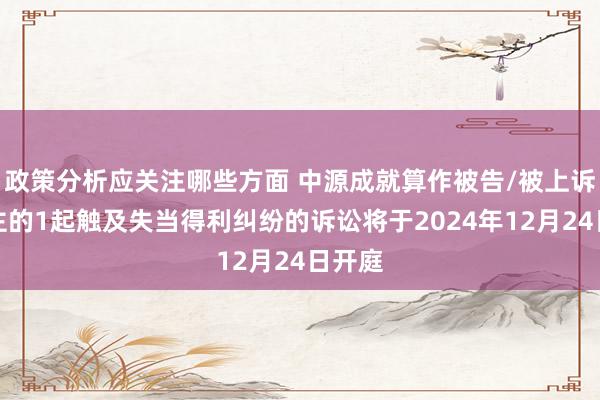 政策分析应关注哪些方面 中源成就算作被告/被上诉东谈主的1起触及失当得利纠纷的诉讼将于2024年12月24日开庭