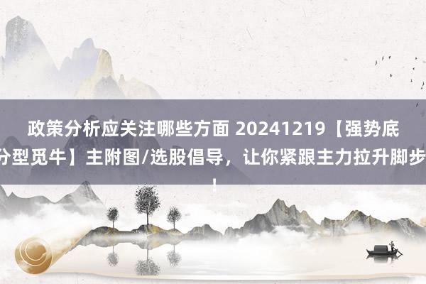 政策分析应关注哪些方面 20241219【强势底分型觅牛】主附图/选股倡导，让你紧跟主力拉升脚步！