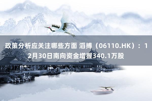 政策分析应关注哪些方面 滔搏（06110.HK）：12月30日南向资金增握340.1万股