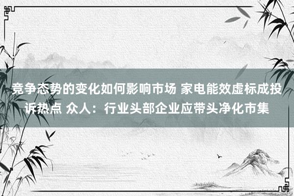 竞争态势的变化如何影响市场 家电能效虚标成投诉热点 众人：行业头部企业应带头净化市集