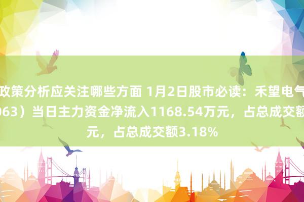 政策分析应关注哪些方面 1月2日股市必读：禾望电气（603063）当日主力资金净流入1168.54万元，占总成交额3.18%