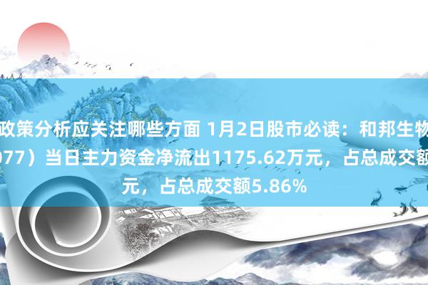 政策分析应关注哪些方面 1月2日股市必读：和邦生物（603077）当日主力资金净流出1175.62万元，占总成交额5.86%