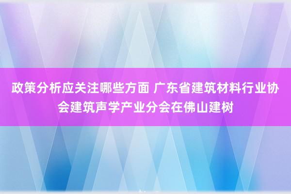 政策分析应关注哪些方面 广东省建筑材料行业协会建筑声学产业分会在佛山建树