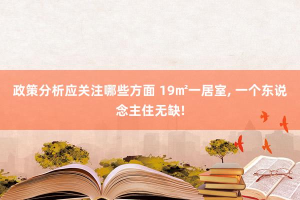 政策分析应关注哪些方面 19㎡一居室, 一个东说念主住无缺!