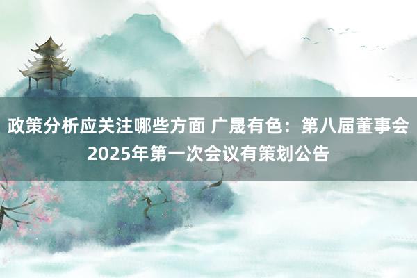 政策分析应关注哪些方面 广晟有色：第八届董事会2025年第一次会议有策划公告