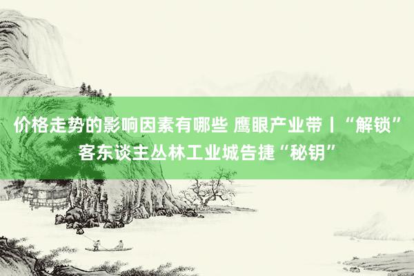 价格走势的影响因素有哪些 鹰眼产业带丨“解锁”客东谈主丛林工业城告捷“秘钥”