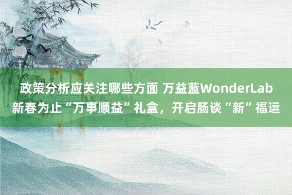 政策分析应关注哪些方面 万益蓝WonderLab新春为止“万事顺益”礼盒，开启肠谈“新”福运