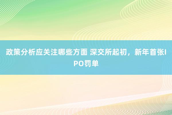 政策分析应关注哪些方面 深交所起初，新年首张IPO罚单