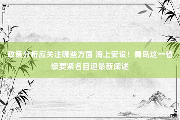 政策分析应关注哪些方面 海上安设！青岛这一省级要紧名目迎最新阐述