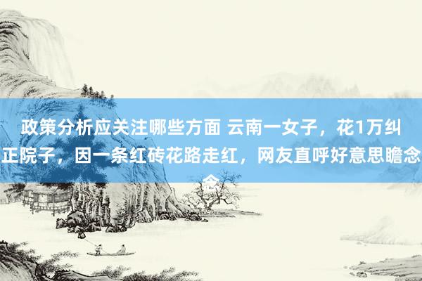 政策分析应关注哪些方面 云南一女子，花1万纠正院子，因一条红砖花路走红，网友直呼好意思瞻念