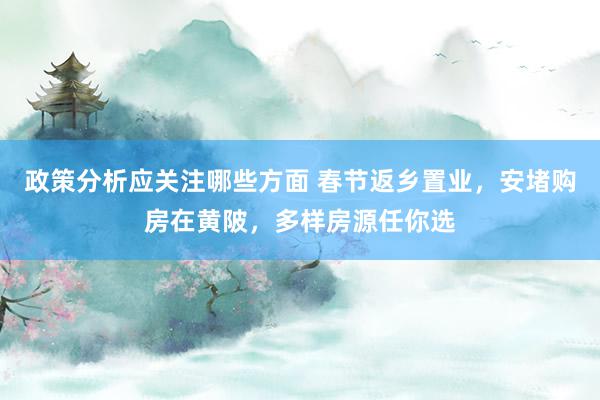 政策分析应关注哪些方面 春节返乡置业，安堵购房在黄陂，多样房源任你选