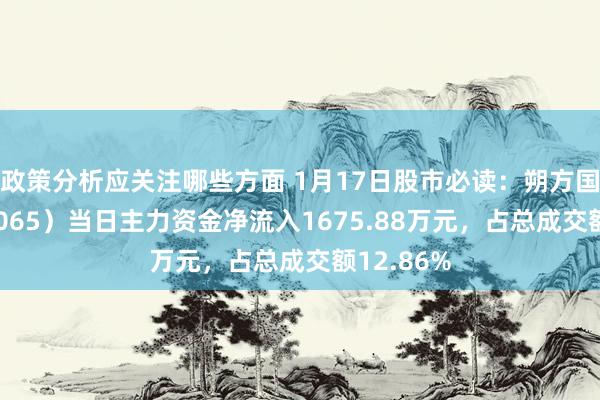 政策分析应关注哪些方面 1月17日股市必读：朔方国外（000065）当日主力资金净流入1675.88万元，占总成交额12.86%