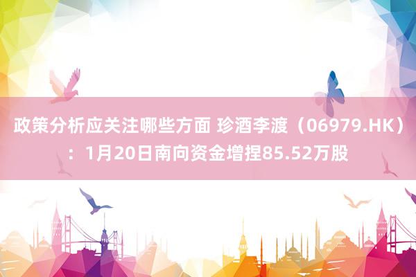 政策分析应关注哪些方面 珍酒李渡（06979.HK）：1月20日南向资金增捏85.52万股