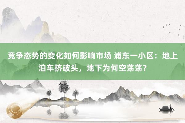 竞争态势的变化如何影响市场 浦东一小区：地上泊车挤破头，地下为何空荡荡？