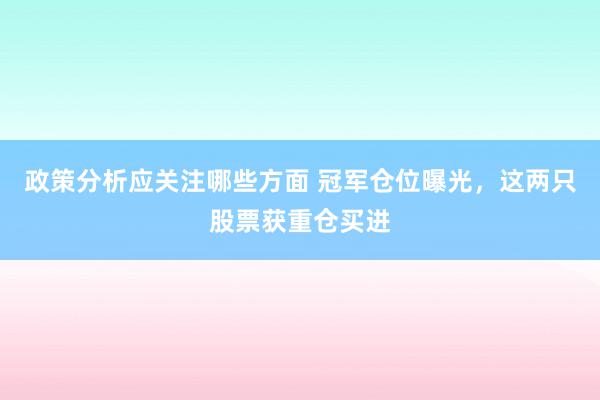 政策分析应关注哪些方面 冠军仓位曝光，这两只股票获重仓买进