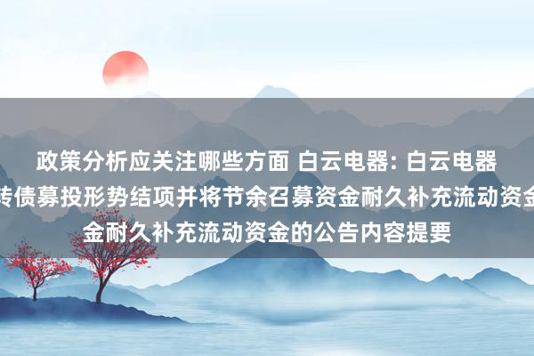 政策分析应关注哪些方面 白云电器: 白云电器对于公开刊行可转债募投形势结项并将节余召募资金耐久补充流动资金的公告内容提要