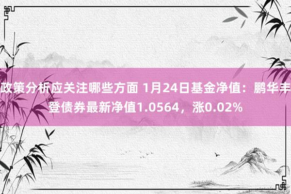 政策分析应关注哪些方面 1月24日基金净值：鹏华丰登债券最新净值1.0564，涨0.02%