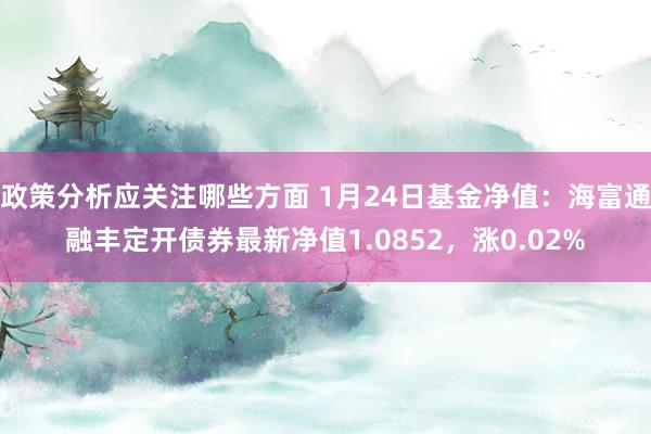 政策分析应关注哪些方面 1月24日基金净值：海富通融丰定开债券最新净值1.0852，涨0.02%