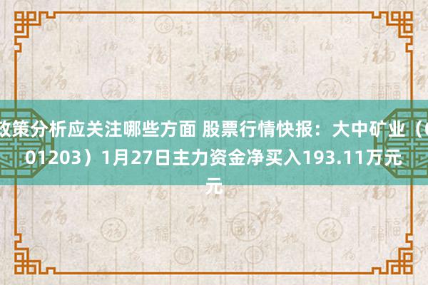 政策分析应关注哪些方面 股票行情快报：大中矿业（001203）1月27日主力资金净买入193.11万元