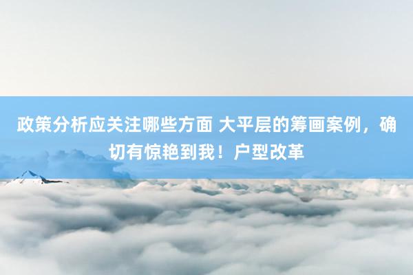 政策分析应关注哪些方面 大平层的筹画案例，确切有惊艳到我！户型改革