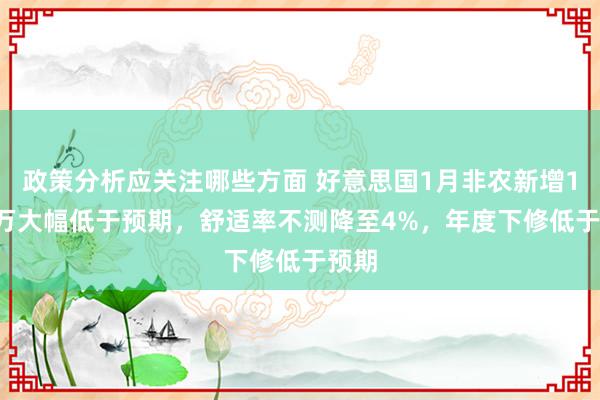 政策分析应关注哪些方面 好意思国1月非农新增14.3万大幅低于预期，舒适率不测降至4%，年度下修低于预期