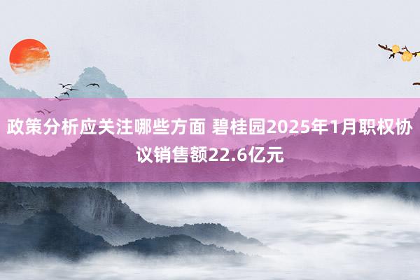 政策分析应关注哪些方面 碧桂园2025年1月职权协议销售额22.6亿元