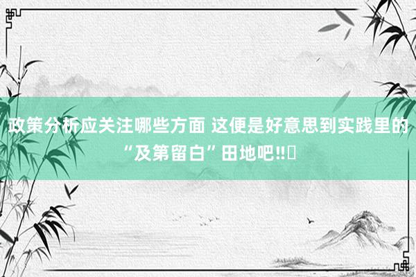 政策分析应关注哪些方面 这便是好意思到实践里的“及第留白”田地吧‼️