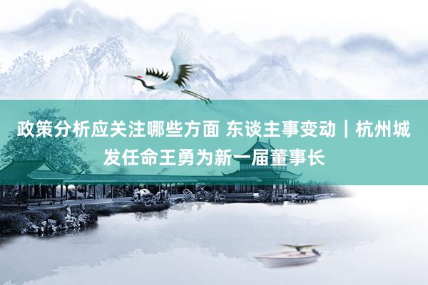 政策分析应关注哪些方面 东谈主事变动｜杭州城发任命王勇为新一届董事长