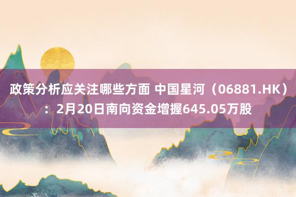 政策分析应关注哪些方面 中国星河（06881.HK）：2月20日南向资金增握645.05万股