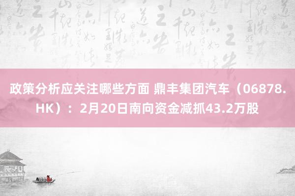 政策分析应关注哪些方面 鼎丰集团汽车（06878.HK）：2月20日南向资金减抓43.2万股