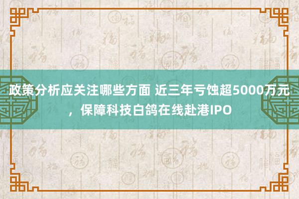 政策分析应关注哪些方面 近三年亏蚀超5000万元，保障科技白鸽在线赴港IPO