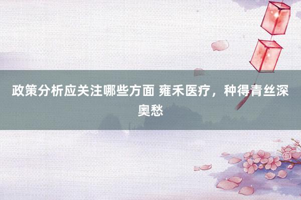 政策分析应关注哪些方面 雍禾医疗，种得青丝深奥愁