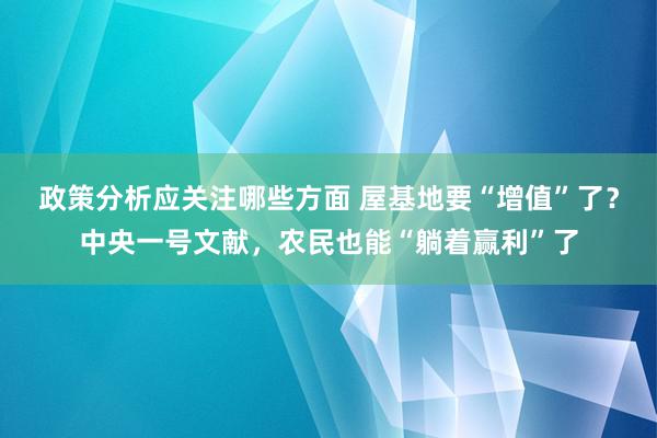 政策分析应关注哪些方面 屋基地要“增值”了？中央一号文献，农民也能“躺着赢利”了