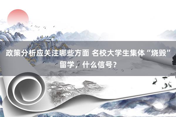 政策分析应关注哪些方面 名校大学生集体“烧毁”留学，什么信号？