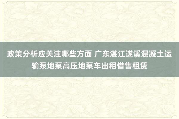 政策分析应关注哪些方面 广东湛江遂溪混凝土运输泵地泵高压地泵车出租借售租赁