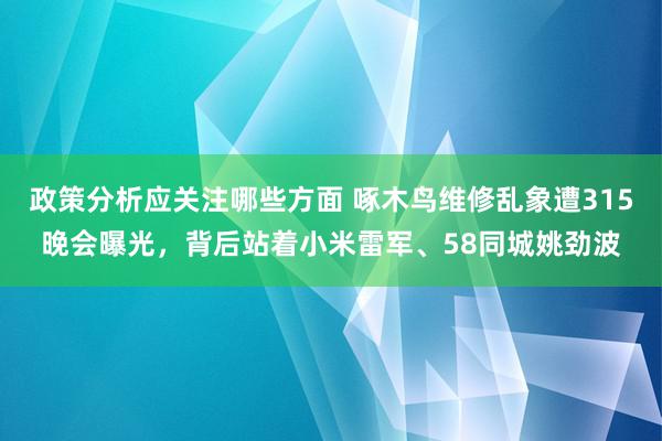 政策分析应关注哪些方面 啄木鸟维修乱象遭315晚会曝光，背后站着小米雷军、58同城姚劲波